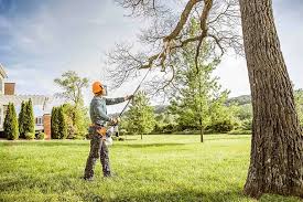 Best Soil Testing and Treatment  in Hunters Creek Village, TX
