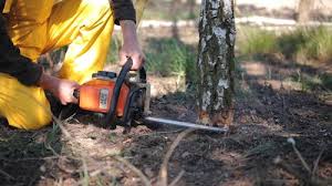 Best Leaf Removal  in Hunters Creek Village, TX
