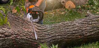 Best Lawn Mowing  in Hunters Creek Village, TX