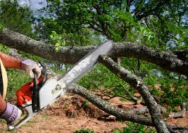 Best Tree Mulching  in Hunters Creek Village, TX