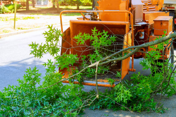 Best Lawn Pest Prevention  in Hunters Creek Village, TX
