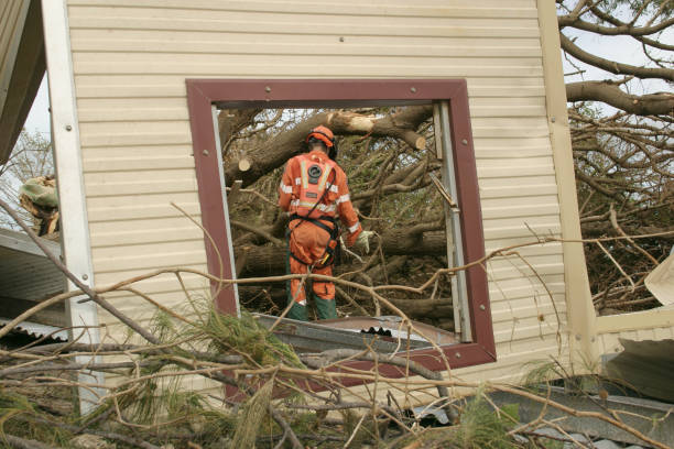 Hunters Creek Village, TX Tree Services Company