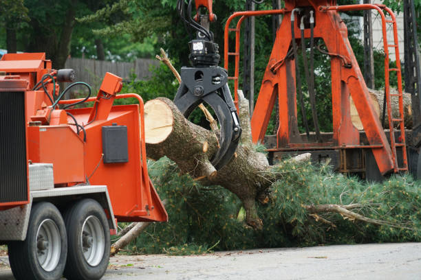 Best Utility Line Clearance  in Hunters Creek Village, TX