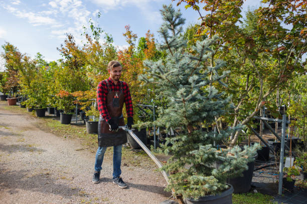 Best Tree Trimming and Pruning  in Hunters Creek Village, TX